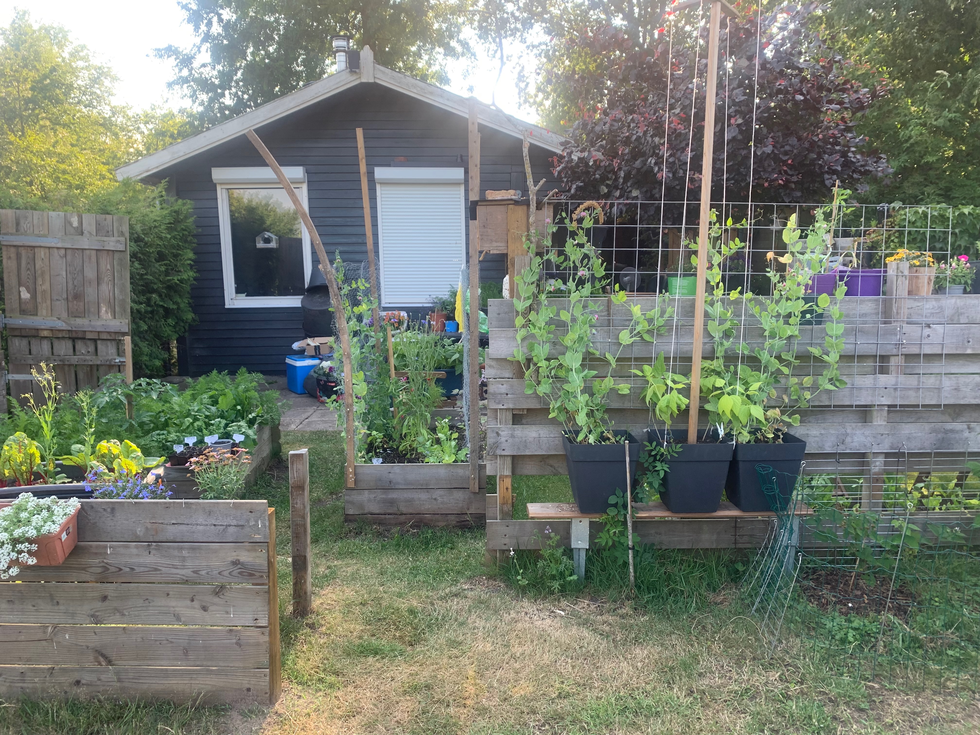 Unser Gartenhaus in den Niederlanden