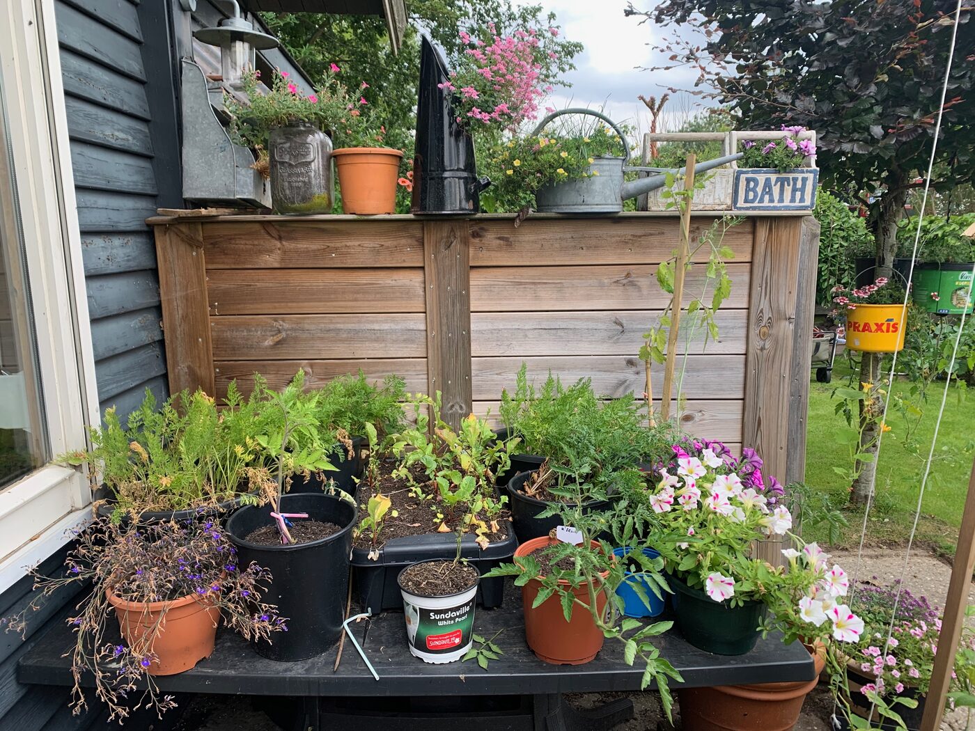 Unser Garten